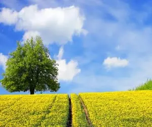 Android中图片压缩分析（下）的图17